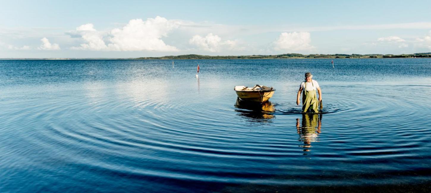 Limfjorden