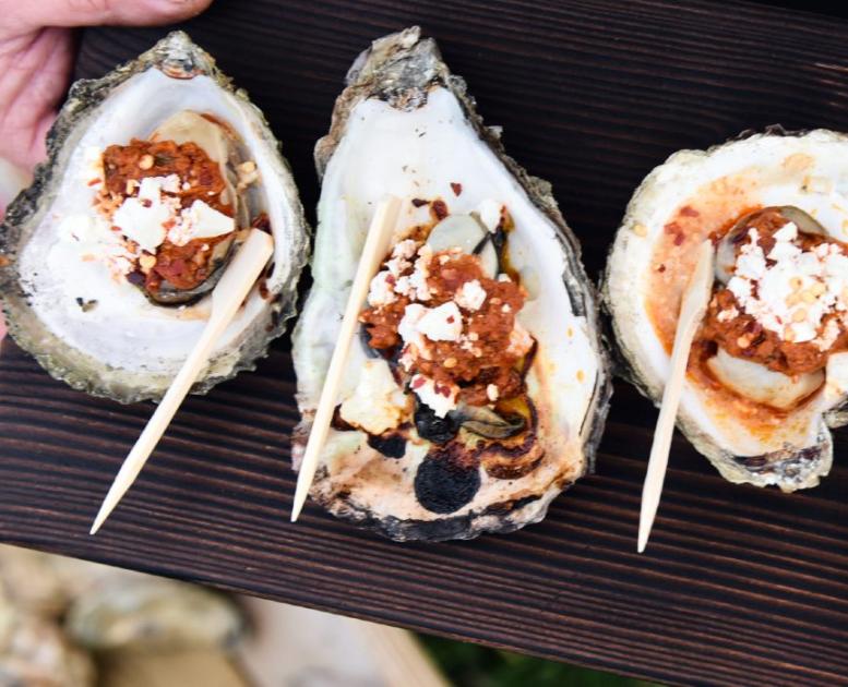 Østers, skaldyr, østerssafari